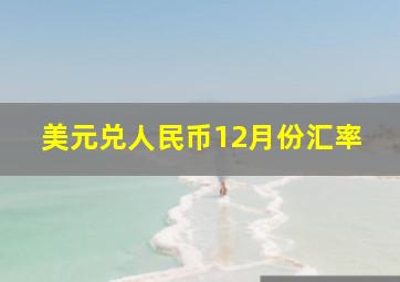 美元兑人民币12月份汇率