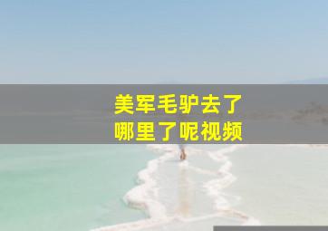 美军毛驴去了哪里了呢视频