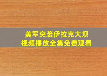 美军突袭伊拉克大坝视频播放全集免费观看