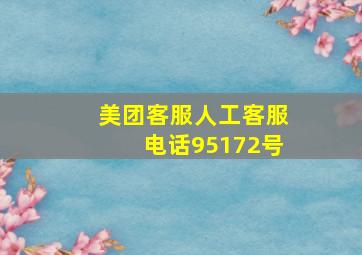 美团客服人工客服电话95172号