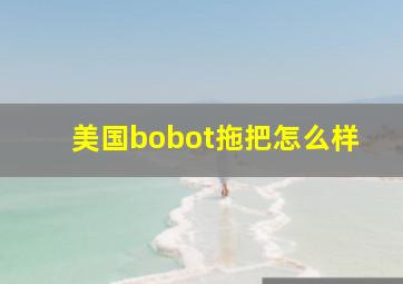 美国bobot拖把怎么样