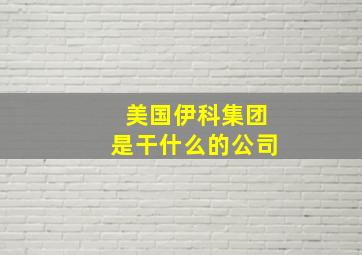 美国伊科集团是干什么的公司