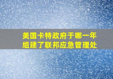 美国卡特政府于哪一年组建了联邦应急管理处