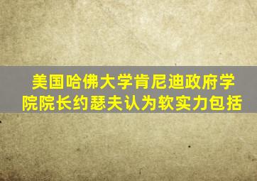 美国哈佛大学肯尼迪政府学院院长约瑟夫认为软实力包括