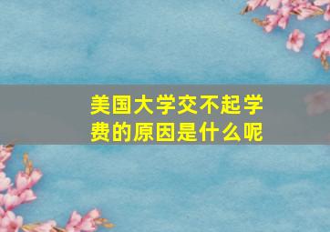 美国大学交不起学费的原因是什么呢