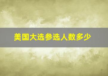 美国大选参选人数多少