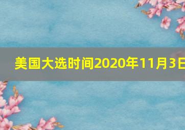 美国大选时间2020年11月3日