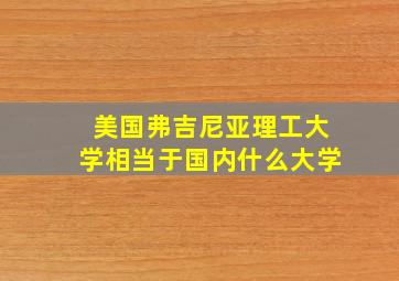 美国弗吉尼亚理工大学相当于国内什么大学