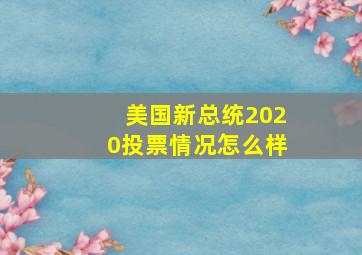 美国新总统2020投票情况怎么样