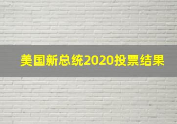 美国新总统2020投票结果