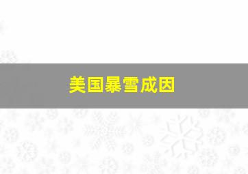 美国暴雪成因