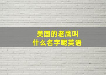 美国的老鹰叫什么名字呢英语