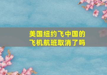 美国纽约飞中国的飞机航班取消了吗