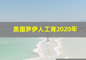 美国罗伊人工肾2020年