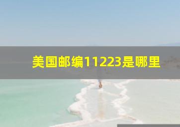 美国邮编11223是哪里