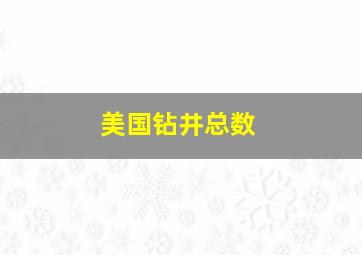 美国钻井总数