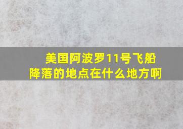 美国阿波罗11号飞船降落的地点在什么地方啊