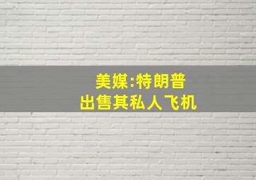 美媒:特朗普出售其私人飞机