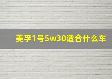 美孚1号5w30适合什么车