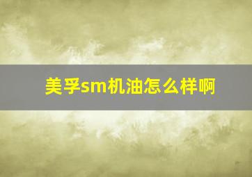 美孚sm机油怎么样啊