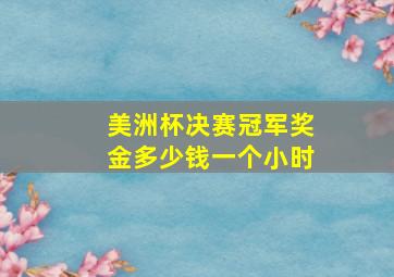 美洲杯决赛冠军奖金多少钱一个小时