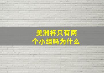 美洲杯只有两个小组吗为什么