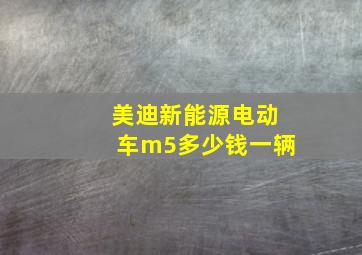 美迪新能源电动车m5多少钱一辆