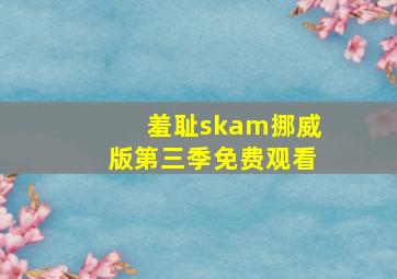 羞耻skam挪威版第三季免费观看