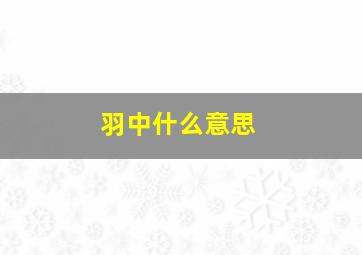 羽中什么意思