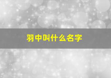 羽中叫什么名字