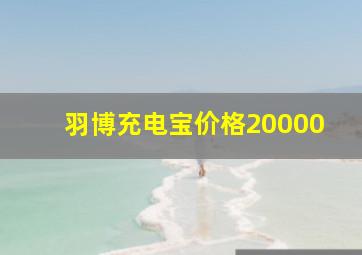 羽博充电宝价格20000