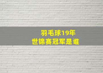 羽毛球19年世锦赛冠军是谁