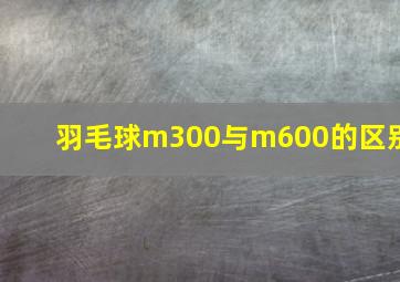 羽毛球m300与m600的区别