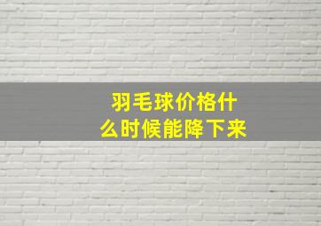 羽毛球价格什么时候能降下来