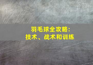 羽毛球全攻略:技术、战术和训练