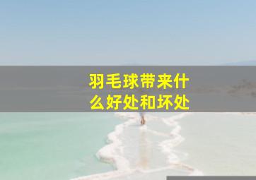 羽毛球带来什么好处和坏处