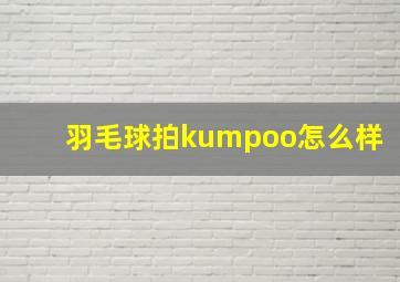 羽毛球拍kumpoo怎么样