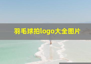 羽毛球拍logo大全图片