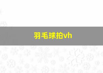 羽毛球拍vh