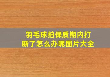 羽毛球拍保质期内打断了怎么办呢图片大全