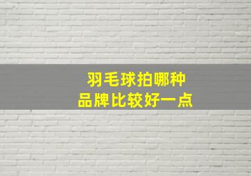 羽毛球拍哪种品牌比较好一点