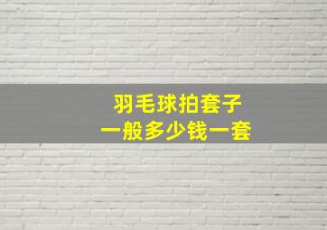 羽毛球拍套子一般多少钱一套