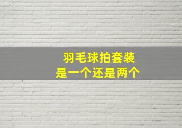 羽毛球拍套装是一个还是两个