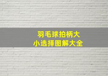 羽毛球拍柄大小选择图解大全