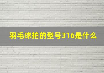 羽毛球拍的型号316是什么