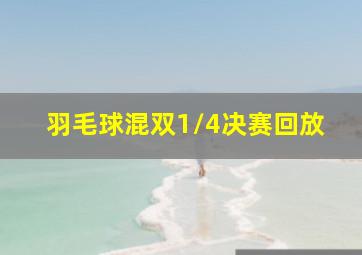 羽毛球混双1/4决赛回放