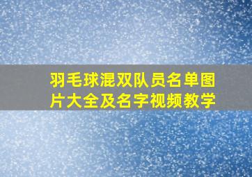 羽毛球混双队员名单图片大全及名字视频教学