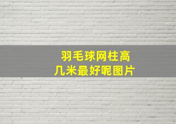 羽毛球网柱高几米最好呢图片