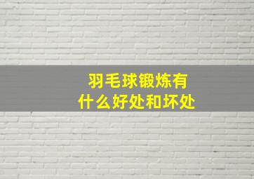 羽毛球锻炼有什么好处和坏处