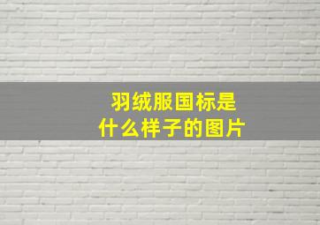 羽绒服国标是什么样子的图片